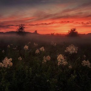 美女被❌❌羞羞的动态图在线观看
